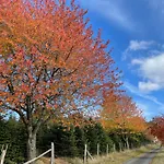 Pensión Sonnenheim