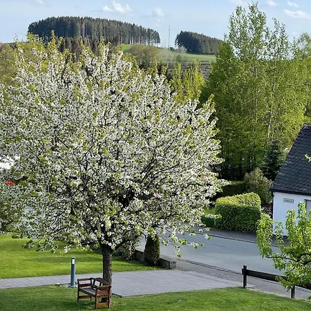 Sonnenheim 3*