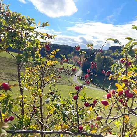 Sonnenheim 3* Winterberg
