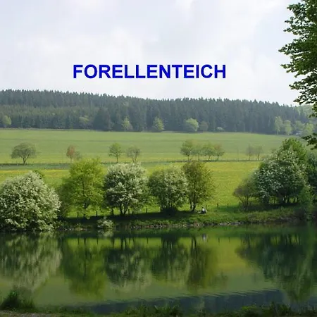 Sonnenheim 3*