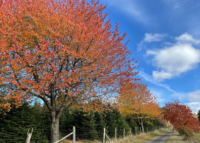 Pensjonat Sonnenheim