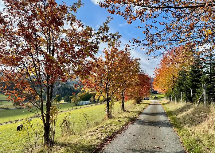 松呐黒木膳食公寓酒店 3* 温特贝格