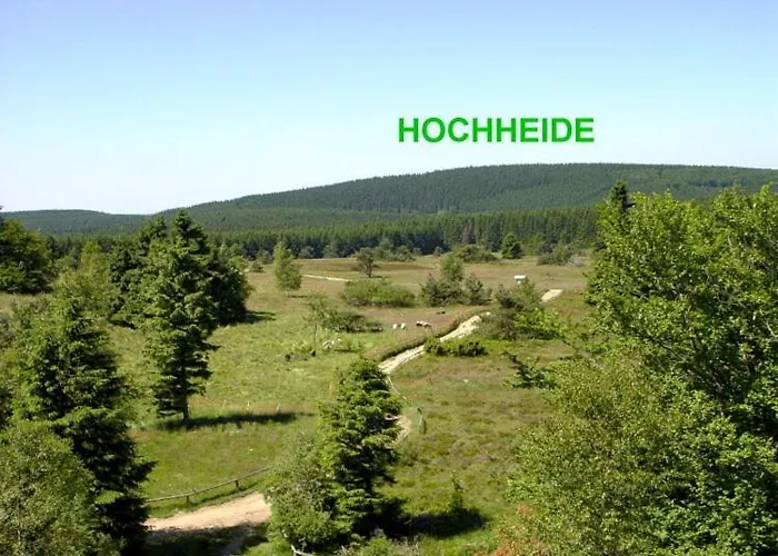 招待所 松呐黒木膳食公寓酒店 3*