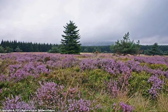 Sonnenheim Πανσιόν Βίντερμπεργκ