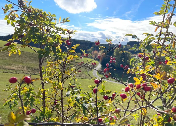 Sonnenheim 3* Winterberg