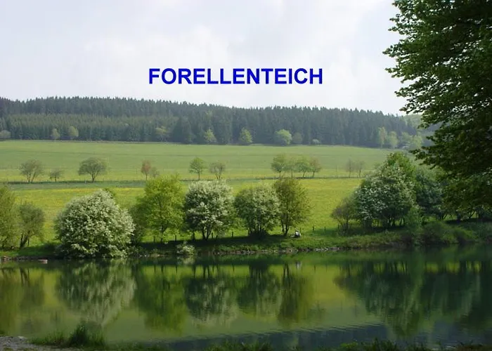 Sonnenheim 3*