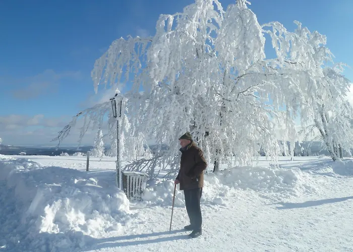 Pensjonat Sonnenheim Winterberg