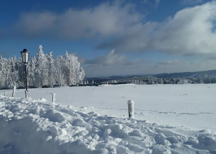 松呐黒木膳食公寓酒店 温特贝格