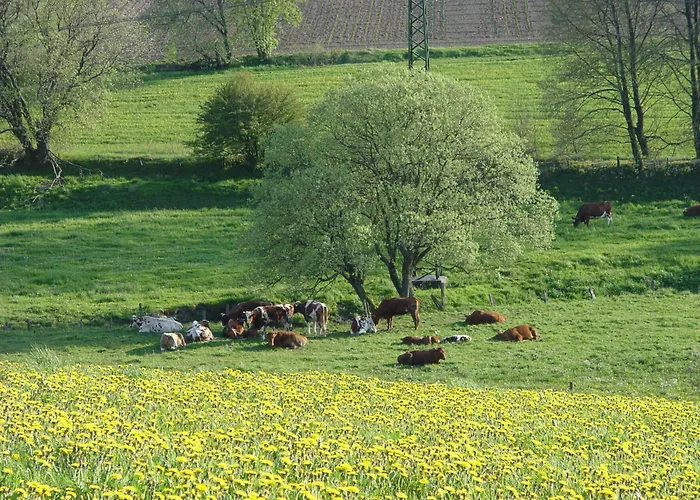 Pensjonat Sonnenheim 3*