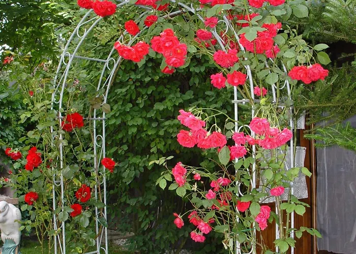 招待所 松呐黒木膳食公寓酒店