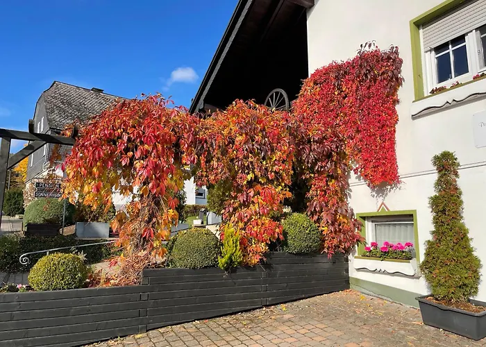 松呐黒木膳食公寓酒店 3* 温特贝格